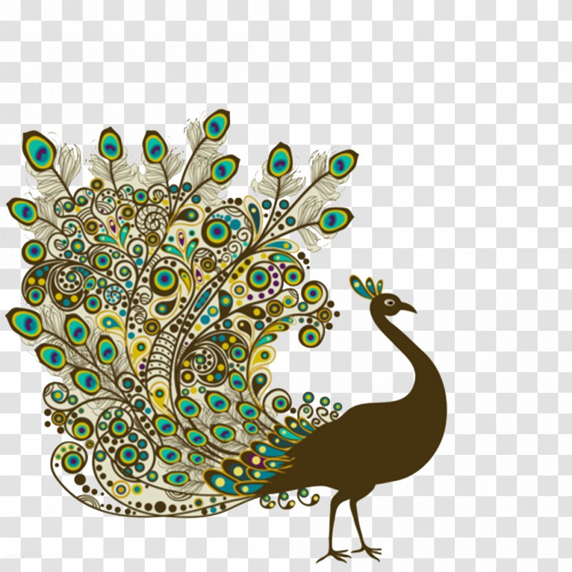 Bird Peafowl Feather Drawing - Royaltyfree - Pretty Peacock Transparent PNG
