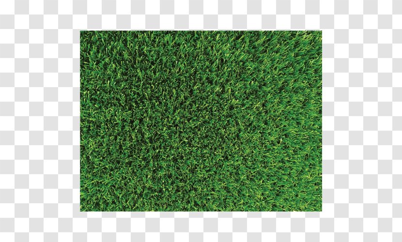 Artificial Turf Lawn Mowers Carpet Groundcover - Green Transparent PNG