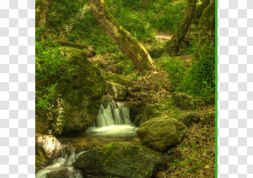 Pelion Volos Pagasetic Gulf Waterfall Karavos Hotel - Stream - Forest Path Transparent PNG