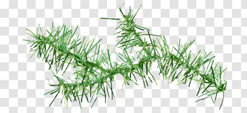 Vegetation Green Plants Image - Plant Stem - Greeting Elements Transparent PNG