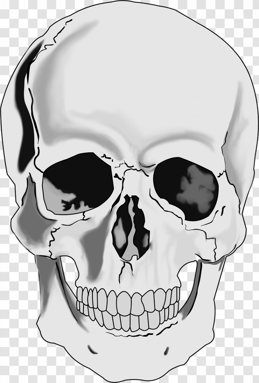 Skull Human Skeleton Clip Art - Symbolism Transparent PNG