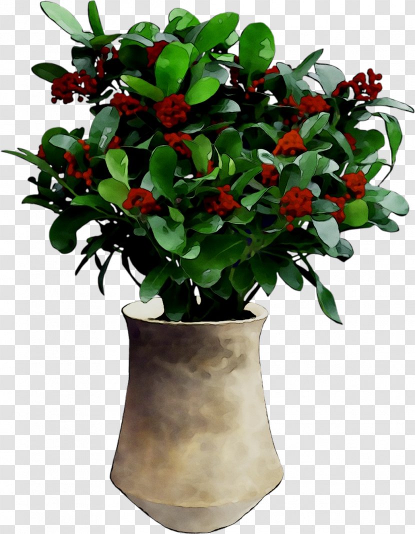 Lingonberry Flowerpot Shrub Houseplant Tree - Holly Transparent PNG