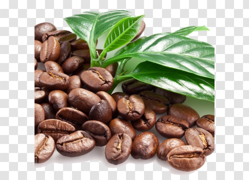 Coffee Bean Espresso Cocoa - Seed - Beans Transparent PNG