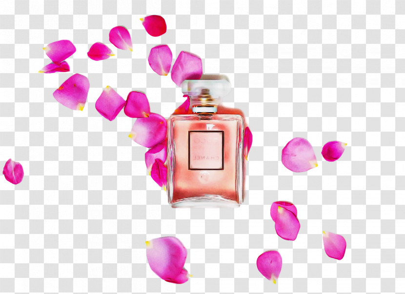 Perfume Meter Petal Beauty Health Transparent PNG