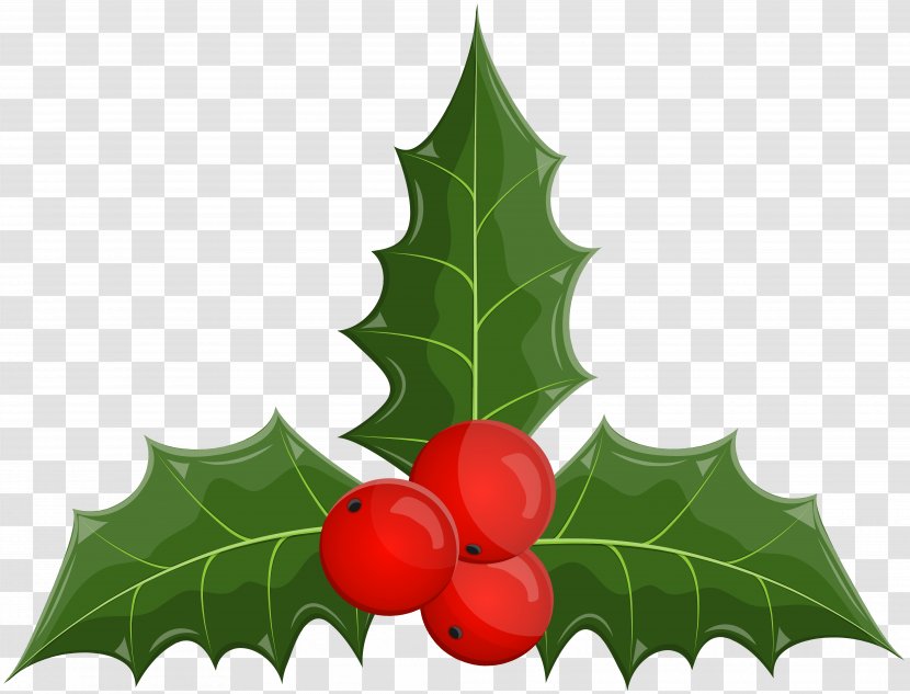 Christmas Tree Silhouette - Holly - Fruit Plane Transparent PNG