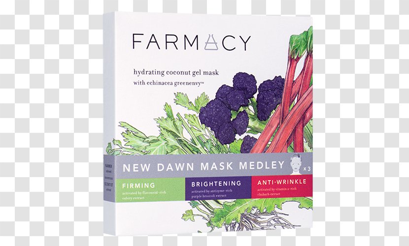 Farmacy BRIGHTENING Coconut Gel Mask Honey Potion Antioxidant Renewing And Hydrating The Face Shop Real Nature Acai Berry Herb - Natural Foods - Fresh Transparent PNG