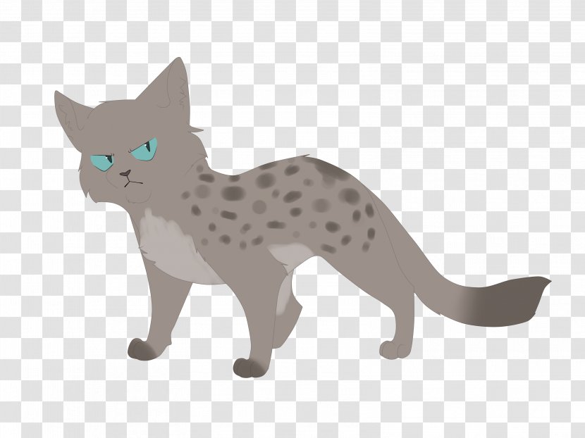 Kitten Cat Whiskers Warriors Ashfur - Epic Warrior Drawings Transparent PNG