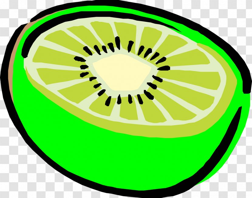 Kiwifruit Drawing Clip Art - Actinidia Deliciosa - Kiwis Picture Transparent PNG