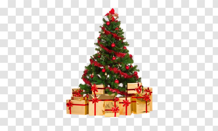 Christmas Tree Spruce Gift Transparent PNG