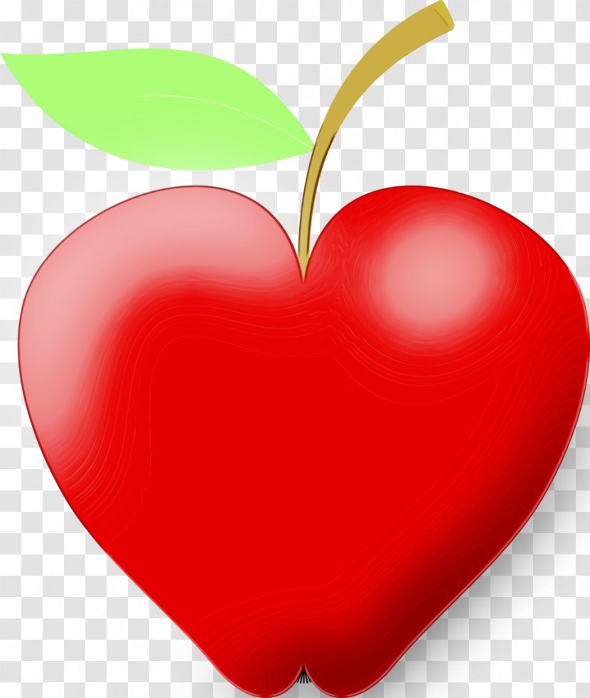 Heart Apple Drawing Transparency - Rose Family Symbol Transparent PNG
