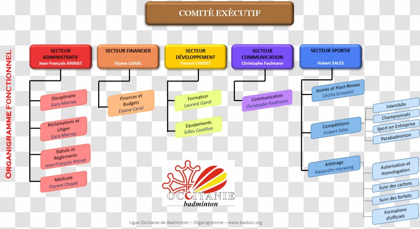 Organizational Chart Flowchart Languedoc-Roussillon-Midi-Pyrénées Badminton Table - Country Transparent PNG