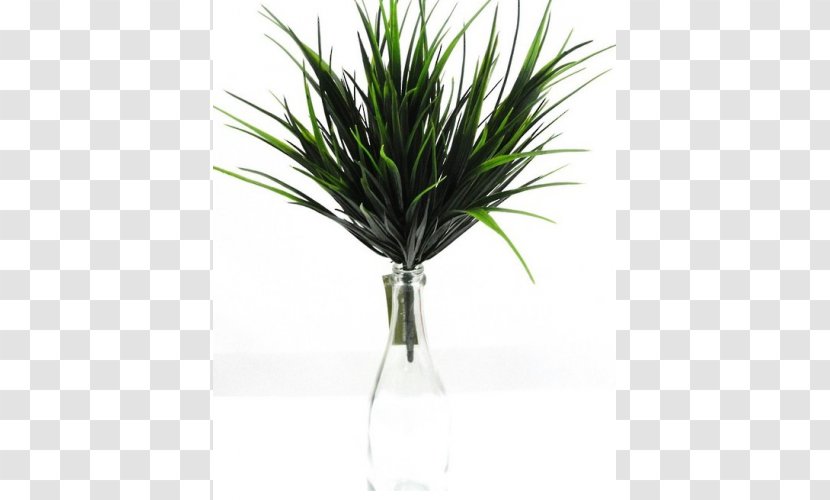 Green Wall Flowerpot Furniture Plant Transparent PNG