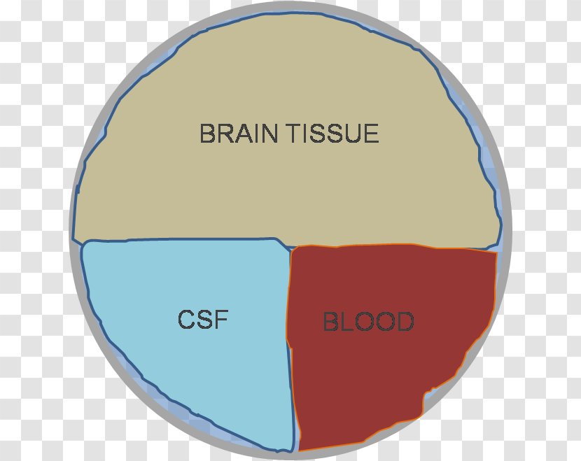 Doktryna Monro-Kelliego Cerebrospinal Fluid Blood Hypothesis Skull - Tissue Transparent PNG