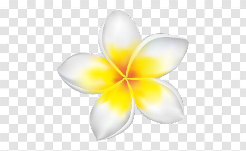 Red Frangipani Drawing Royalty-free - Royaltyfree - Flower Transparent PNG