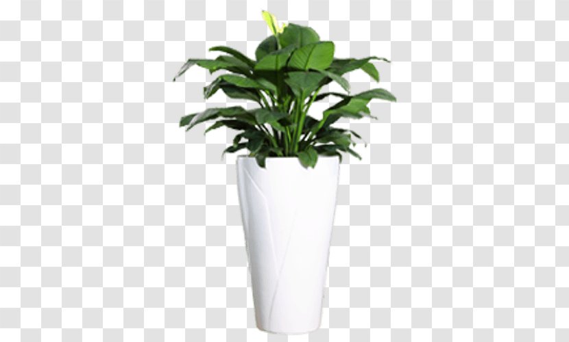 Houseplant Flowerpot Light Ornamental Plant - Fiberglass - Pot Transparent PNG