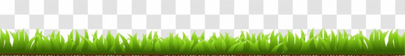 Wheatgrass Computer Wallpaper - Grass Family - Bottom Transparent PNG