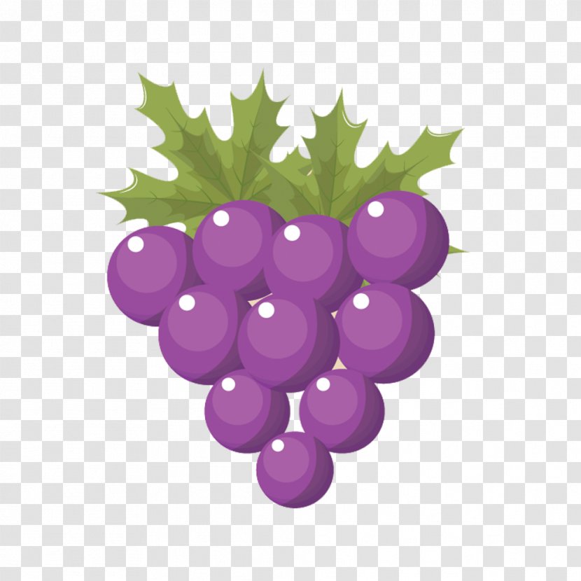 Grape Euclidean Vector - Vitis - Material Purple Grapes Transparent PNG