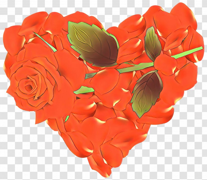 Garden Roses - Valentines Day - Plant Transparent PNG