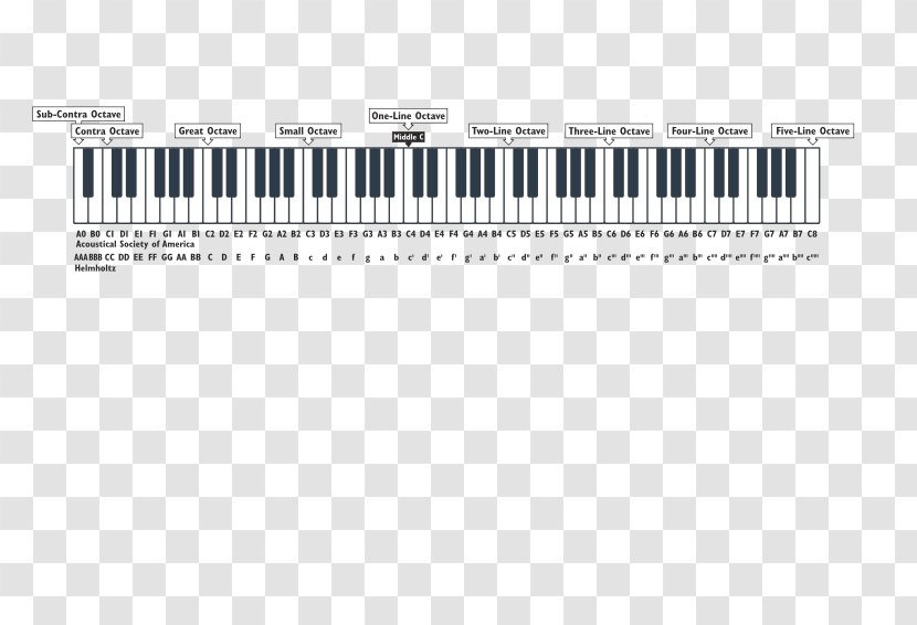 Musical Note Scientific Pitch Notation Vocal Range Human Voice - Heart - Designation Transparent PNG