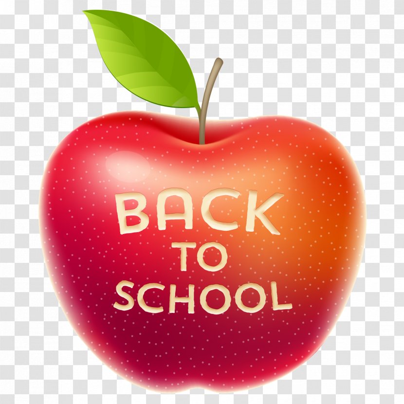 Student School Holiday - Vector Red Apple Material Transparent PNG