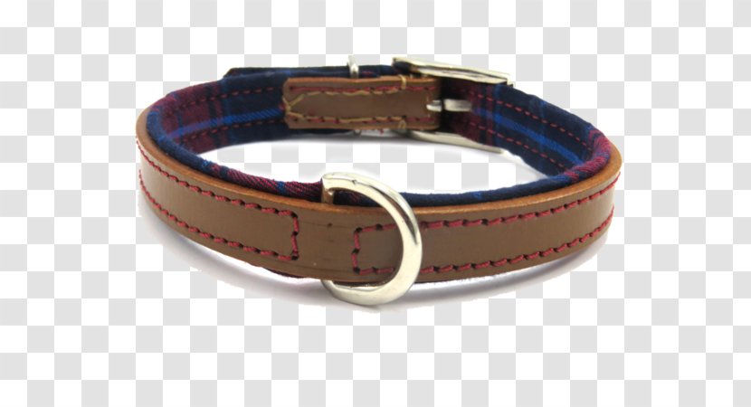 Watch Strap Dog Collar Leather - Accessory Transparent PNG