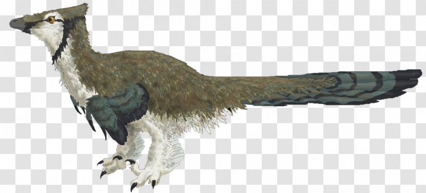 Galliformes Beak Feather Wildlife Tail - Dinosaur Transparent PNG