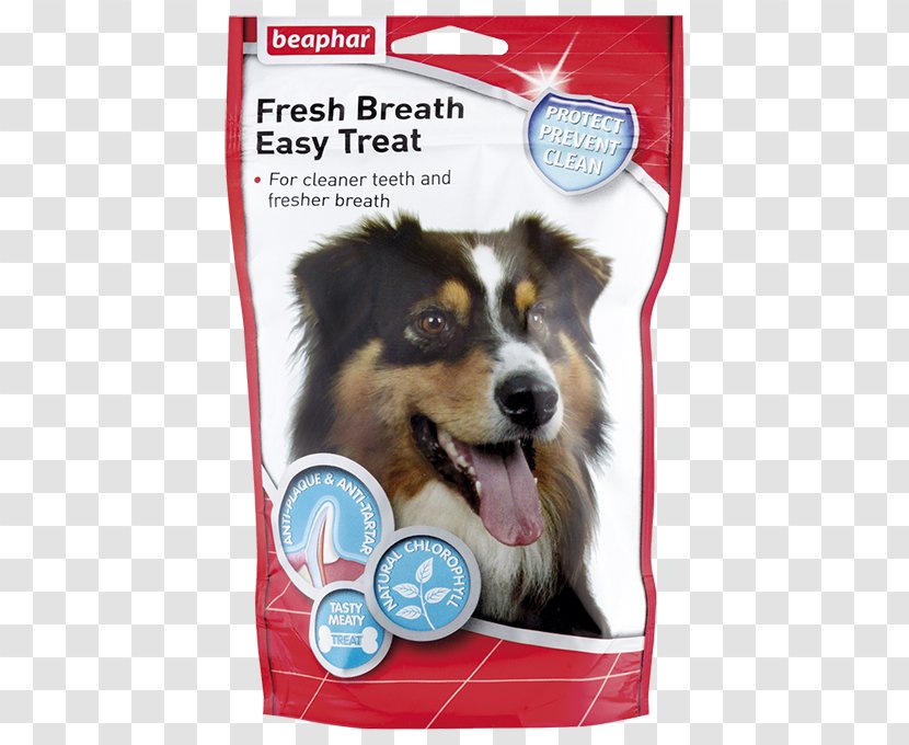Dog Tooth Bad Breath Breathing Spray Transparent PNG
