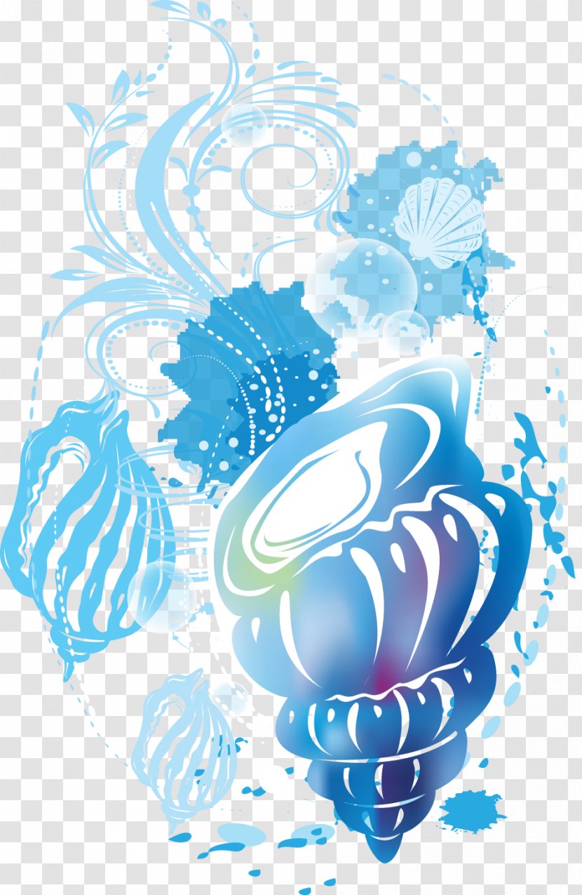 Poster CorelDRAW Illustrator Cdr - Aqua - Conch Decorative Pattern Transparent PNG