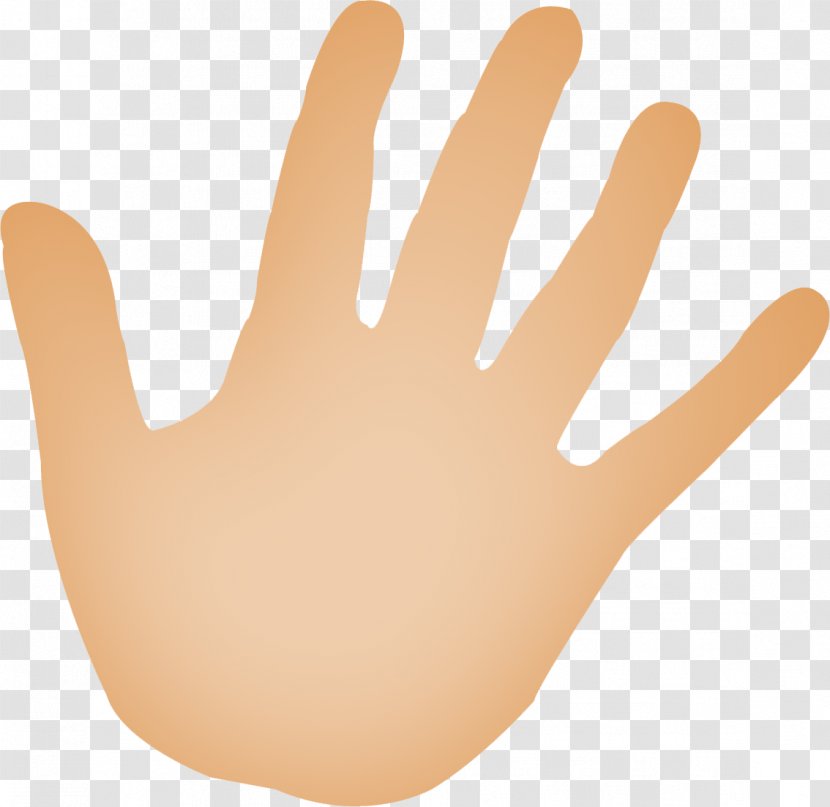 Windows Thumbnail Cache Hand Model Glove - Directory - Fond Affiche Gratuit Transparent PNG