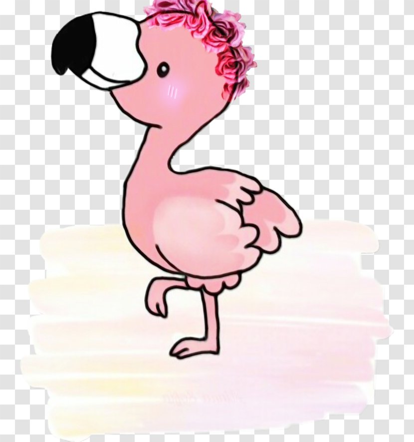 Flamingo - Pink - Beak Water Bird Transparent PNG