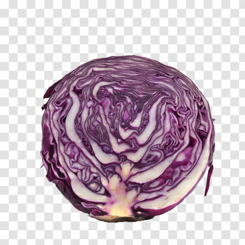 Red Cabbage Stock Photography Vegetable Purple - Color Transparent PNG