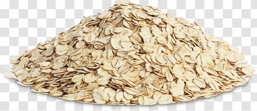 Oat Bran Cereal Food Rolled Oats - Cuisine - Seed Plant Transparent PNG