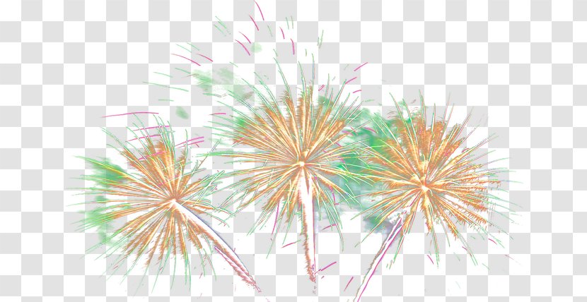 Flower Computer Wallpaper - Fireworks HD Material Transparent PNG