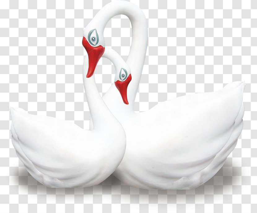 Cygnini Clip Art - Albom - Ducks Geese And Swans Transparent PNG