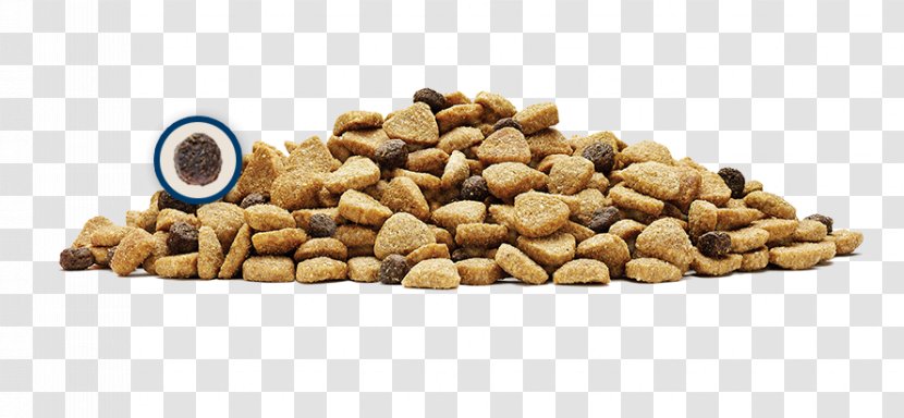 BLUE Wilderness Adult Dry Cat Food Dog - Nutrition - Animal Transparent PNG