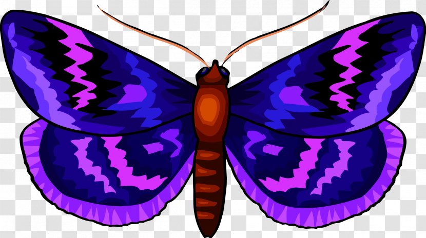Butterfly Insect Clip Art - Symmetry - Butter Transparent PNG