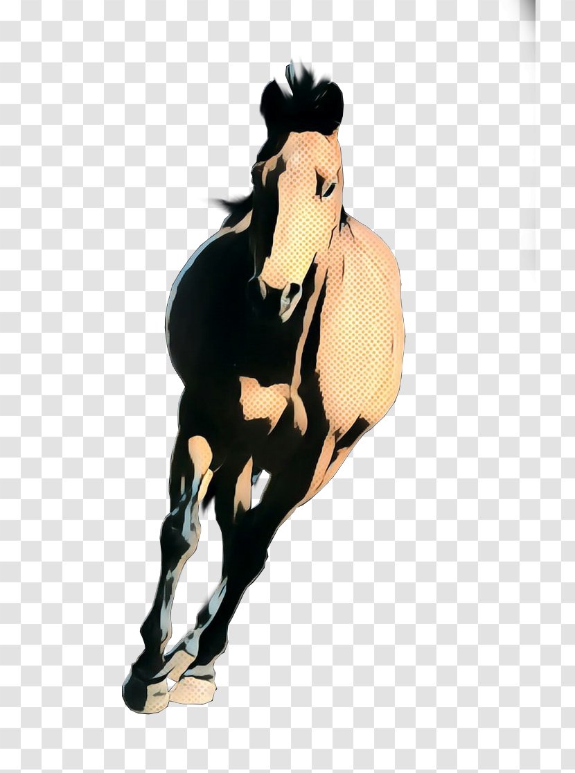 Horse Mustang Stallion Mane Sorrel - Retro - Animal Figure Mare Transparent PNG