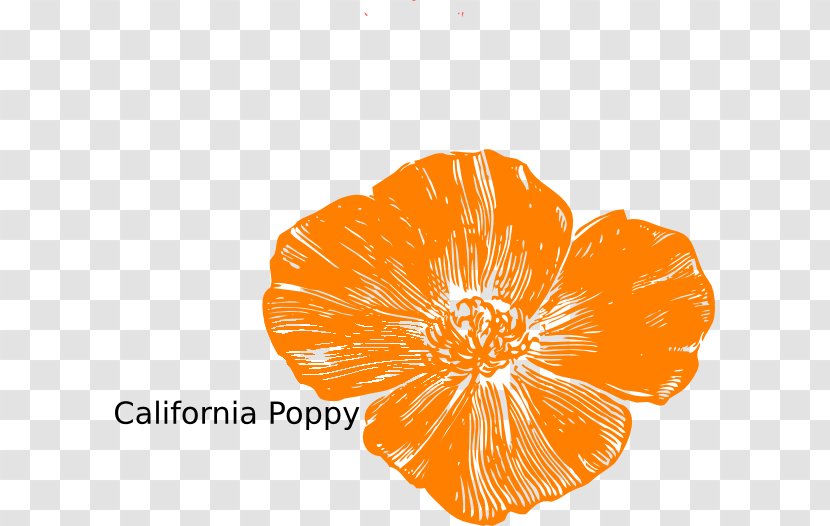 Remembrance Poppy California Clip Art - Poppies Vector Transparent PNG