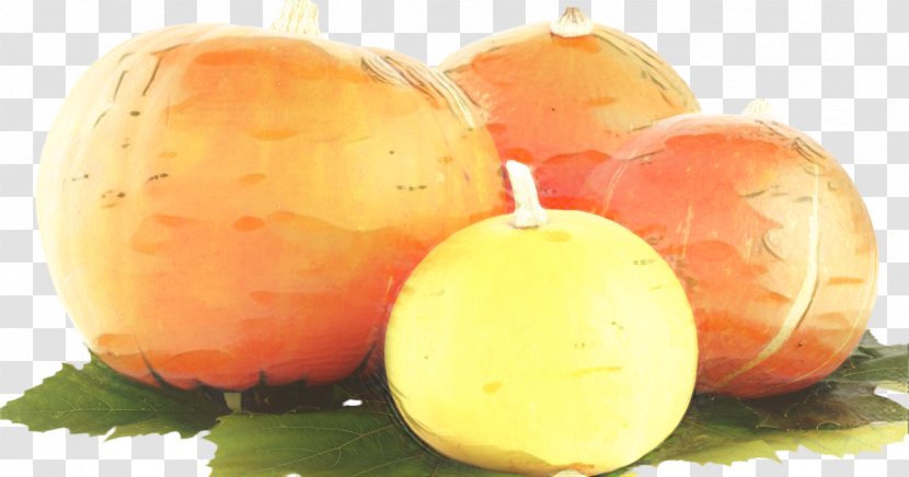 Sunflower - Pumpkin - Still Life Peach Transparent PNG