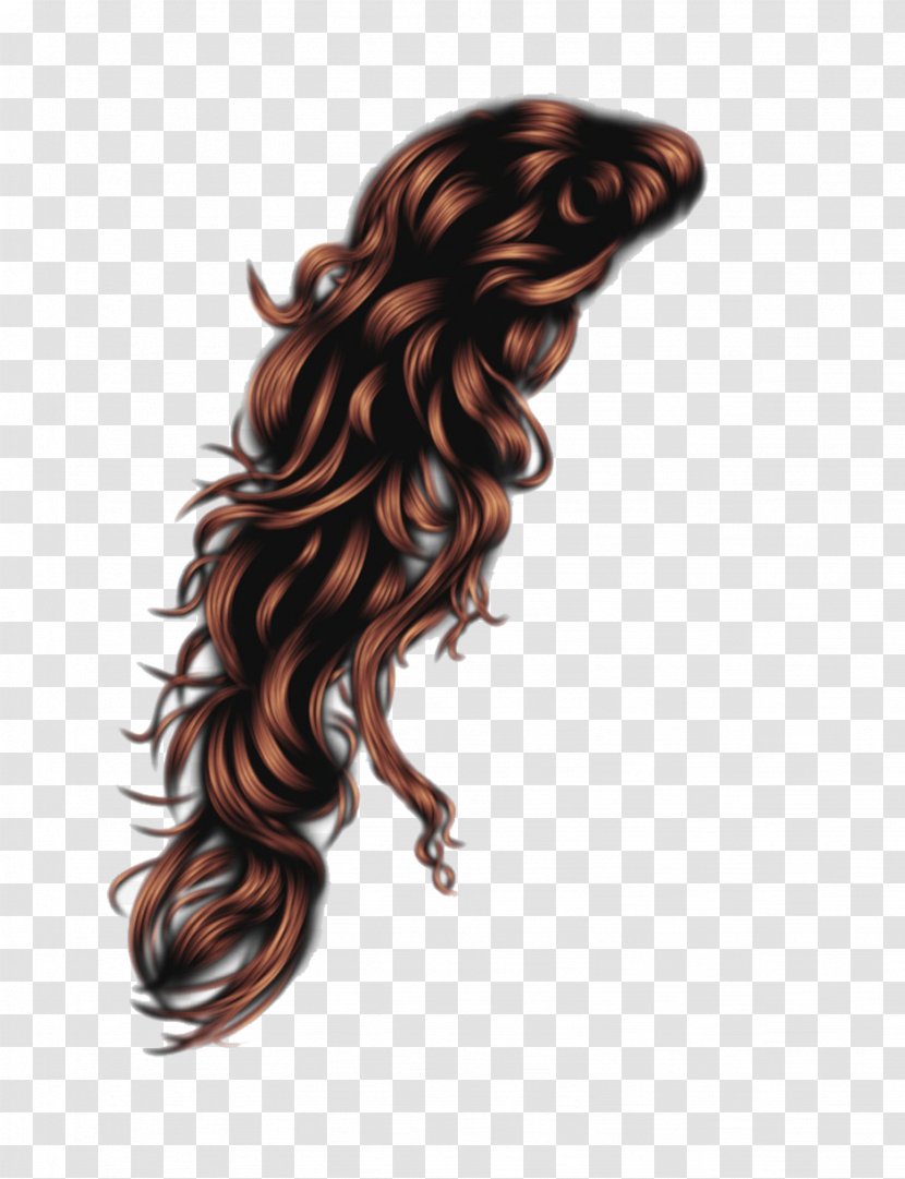 Hairstyle Wig - Afro - Long Hair Transparent PNG