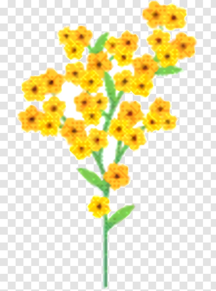 Flowers Background - Plants - Daisy Family Lantana Transparent PNG
