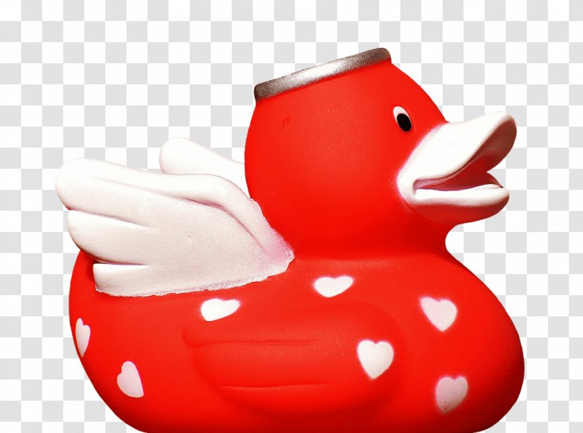 Rubber Duck Natural - Ducks Geese And Swans Transparent PNG