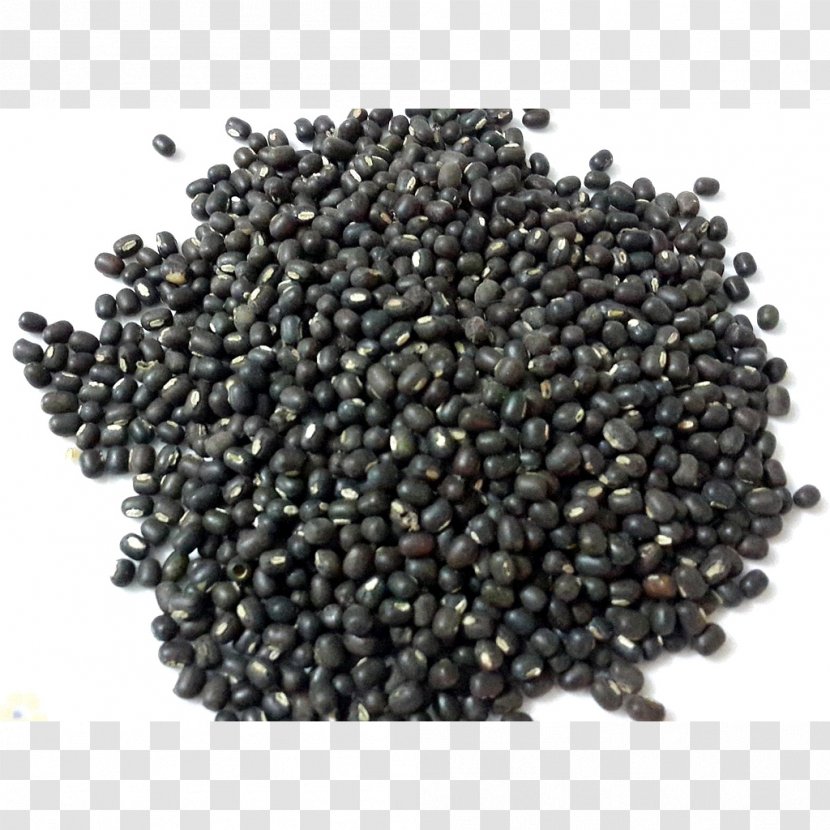 Dal Papadum Black Gram Chickpea Bengali Cuisine - Blackeyed Pea - Seed Transparent PNG
