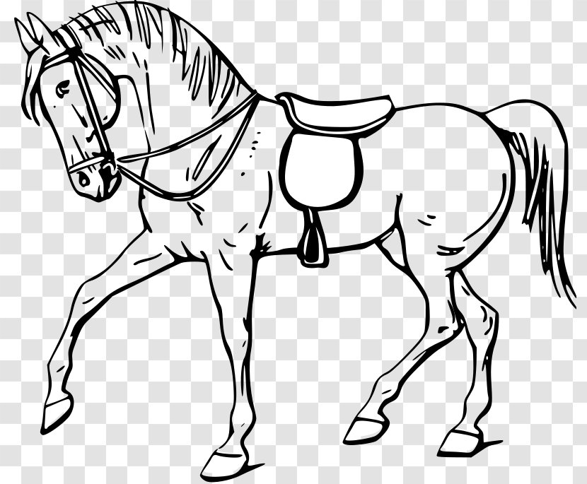 Tennessee Walking Horse Stallion Drawing Clip Art - Black - Bowling Pin Outline Transparent PNG