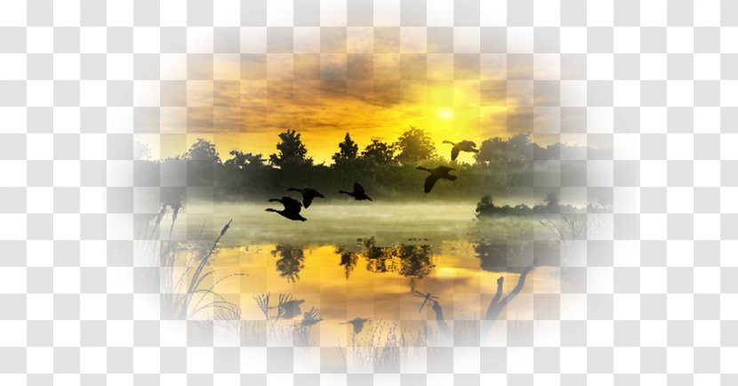Animation Landscape Desktop Wallpaper - Sunlight Transparent PNG