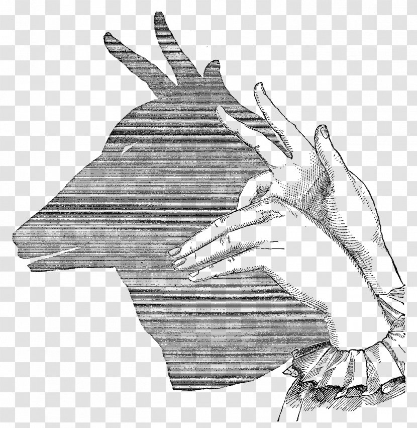 Shadow Play Puppetry Shadowgraphy - Performing Arts - Puppet Transparent PNG