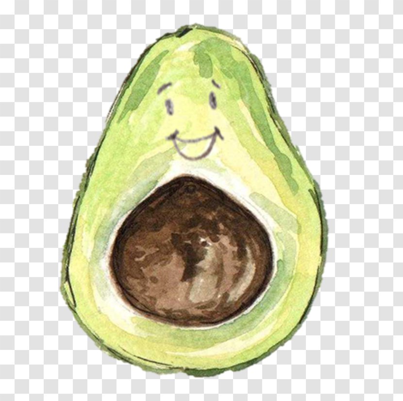 Avocado Watercolor Painting Clip Art - Vegetable - 30 Transparent PNG