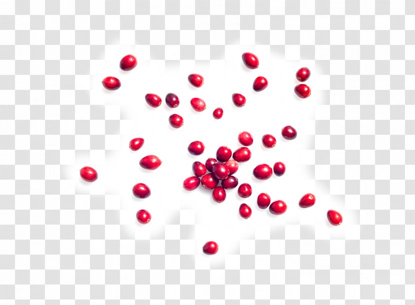 Cranberry Kind Almond Nut Pink Peppercorn - Computer Transparent PNG