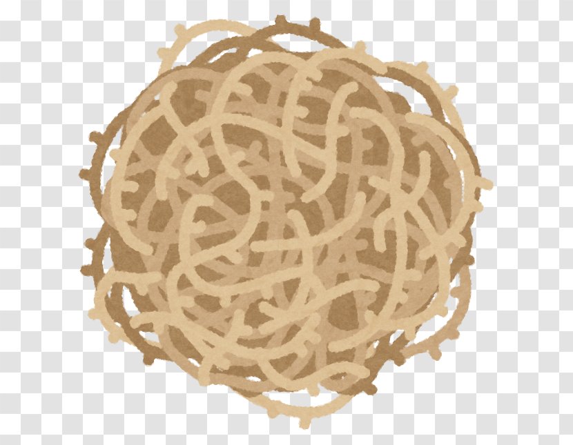 Salsola Spaghetti Western Tumbleweed Action Film - Photography - Tumble Weed Transparent PNG