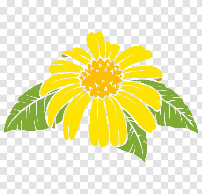 Common Daisy Sunflower Oxeye Chrysanthemum Dahlia - Yellow Transparent PNG